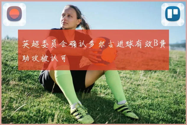 英超委员会确认多尔古进球有效B费助攻被认可